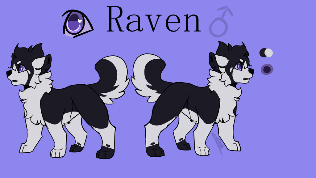New Raven Ref by CandytheGoat on DeviantArt