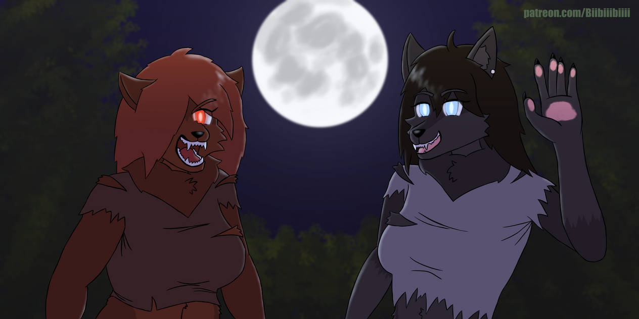 Two Wolves by Biibiiibiiii on DeviantArt