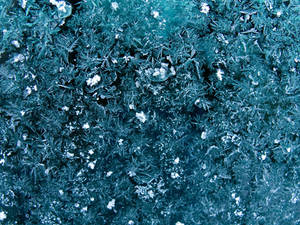 Ice Flowers on Glass