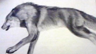 Running Wolf