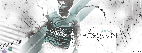 2Arshavin2