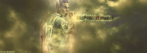 Hamsik3