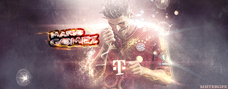 Mario Gomez2