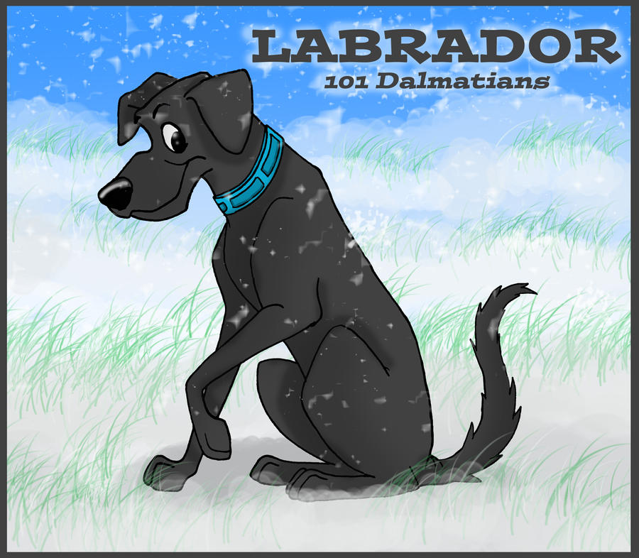Labrador- 101 Dalmatians