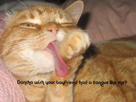 Tongue Tied