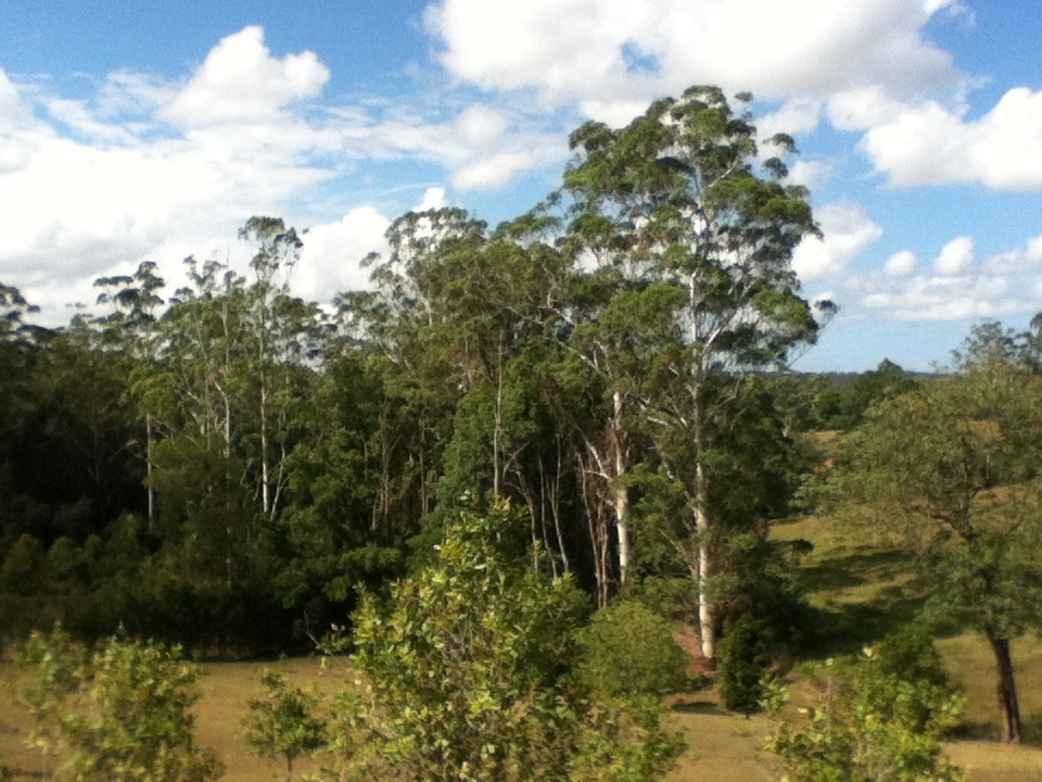 The View From My Veranda...