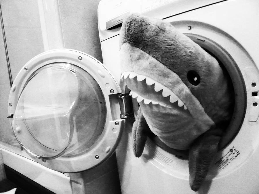 Shark in the washing machine.. by Samain