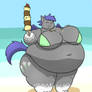 Middy at the Beach!