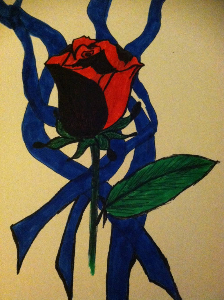 Random Rose by SpiritsTears on DeviantArt