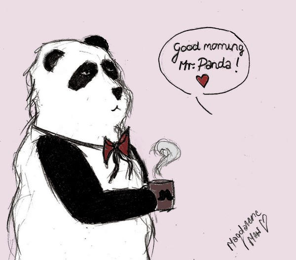 Доброе утро Панда. Мистер Панда. Доброе утро Панда прикольные. Доброе утро Панда картинки. Канал мистер панда