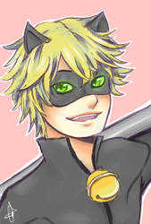 Chat Noir