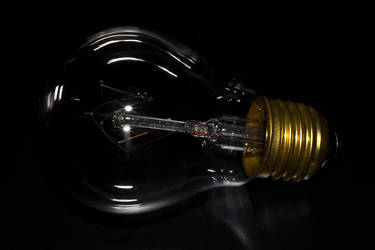 Bulb