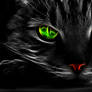 Fractal Green Eye Cat