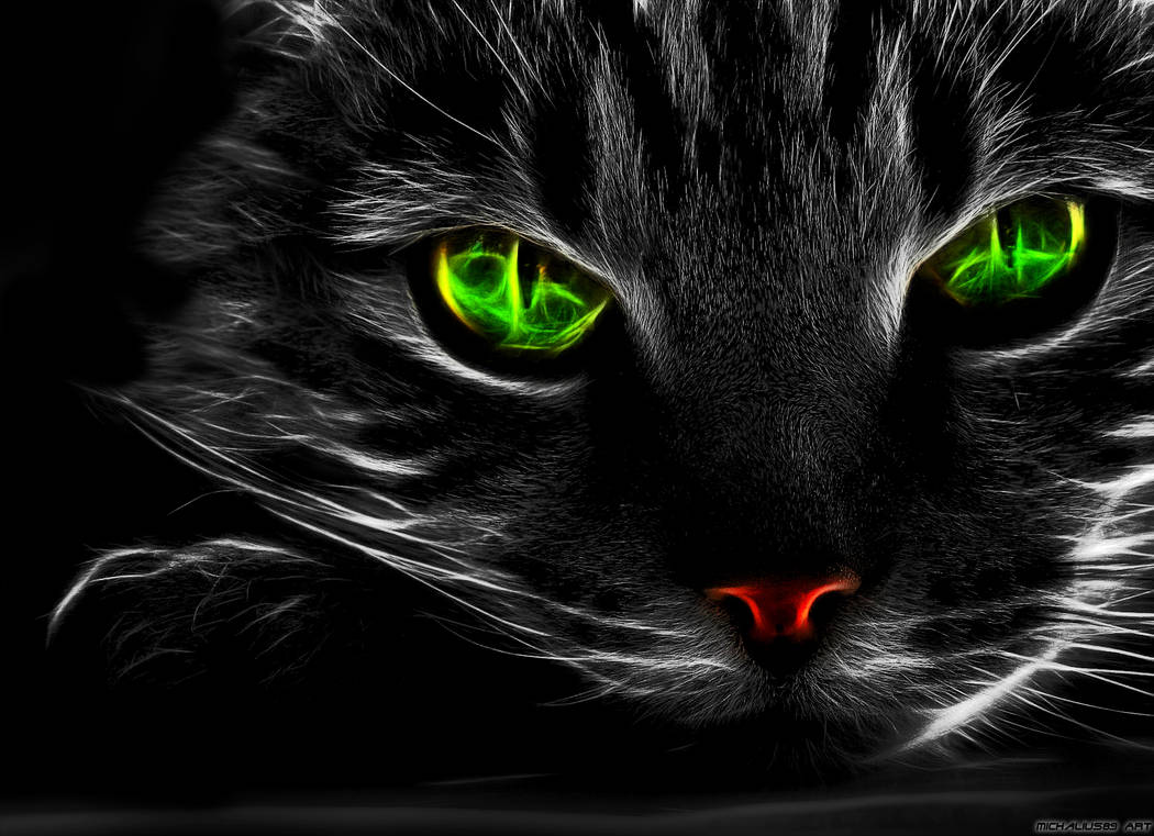 Черный зеленый глазками. Черная кошка с зелеными глазами. Кошка с зелеными глазами. Кошачий глаз зеленый. Неоновая кошка.