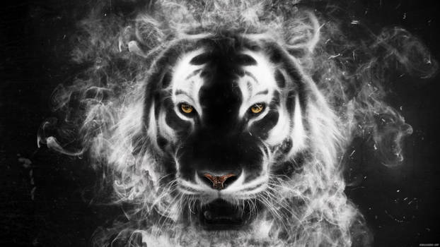 Tiger from my mind