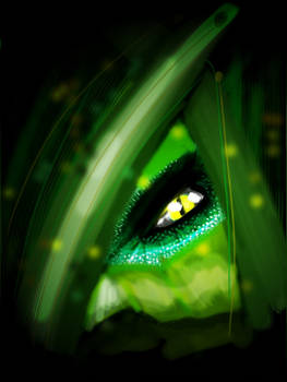 iPad: Lizard Eye