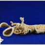 Puck the squid
