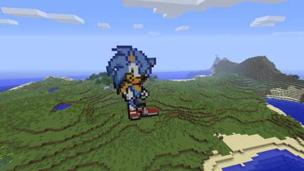 Sonic in MineCraft (c)