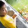 Fish Feeding Frenzy