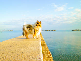 golden pier