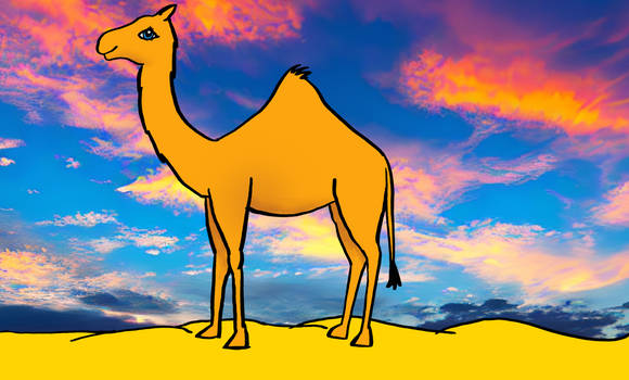 Camel 