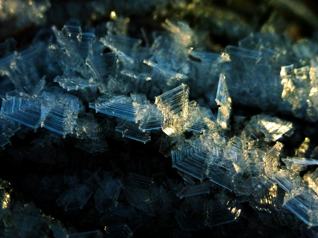 Frost 058