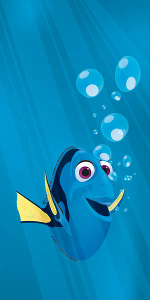 Dory by macsnow