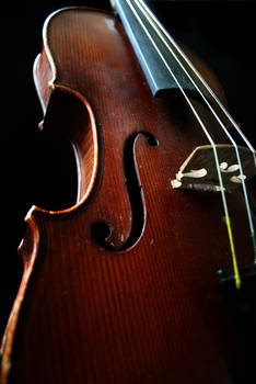 Violin