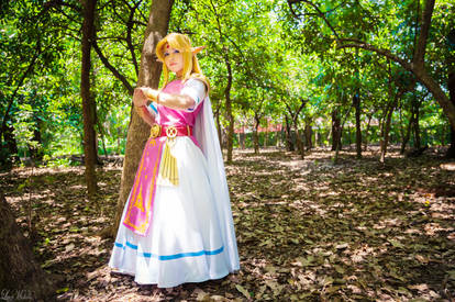 Princess Zelda Cosplay | A Link Between Worlds