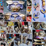 Zelda Hyrule Warriors armor progress