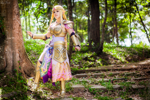 Princess Zelda Cosplay | Hyrule Warrios