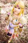 Princess Zelda Cosplay | Hyrule Warrios by LayzeMichelle
