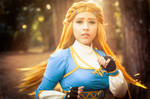 Princess Zelda Cosplay | Breath of the Wild by LayzeMichelle