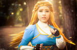 Princess Zelda Cosplay | Breath of the Wild