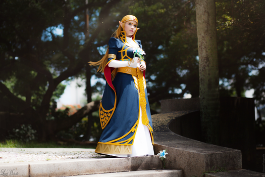 Royal Princess Zelda Cosplay | Breath of the Wild