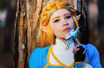 Princess Zelda Cosplay | Breath of the Wild by LayzeMichelle