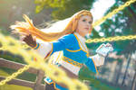 Princess Zelda Cosplay | Breath of the Wild by LayzeMichelle