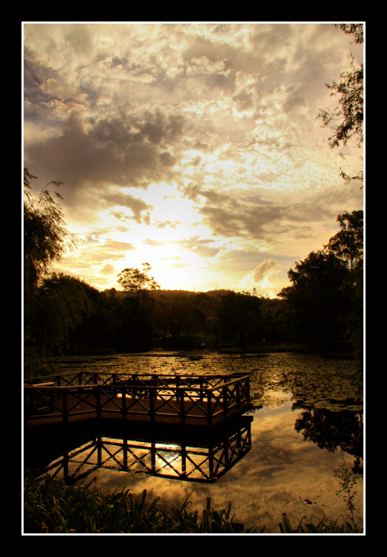 Brisbane Botanical Sunset