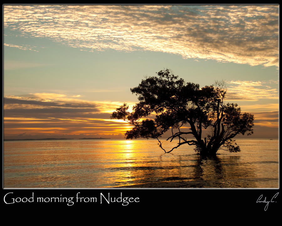 Good morning from Nudgee