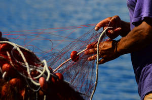 Mending the net