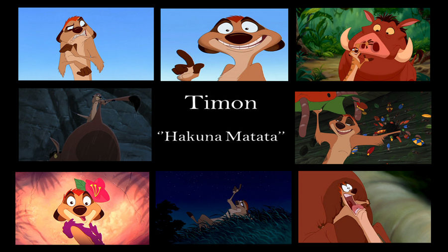 Timon Collage by TLKFAN101 on DeviantArt