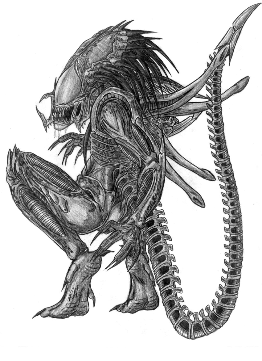 The PredAlien by The-Predator-Club on DeviantArt