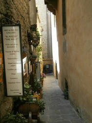 Discreet Alleyway - Cortona