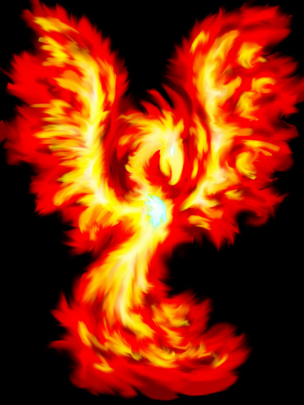 Heart of the Phoenix Pt 2