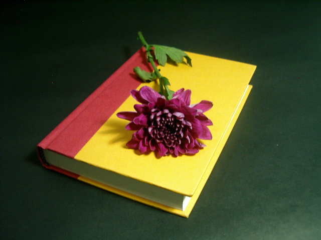 Book and Flower 1