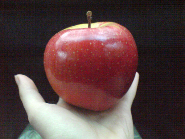 Red apple by raja777 on DeviantArt