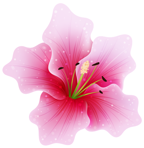 Pink Flower Png By Hanabell1 On Deviantart