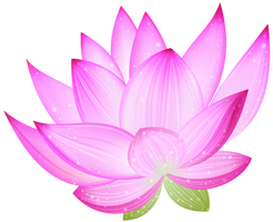 Pink Lotus PNG