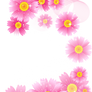 [Res] Pink Flowers PNG