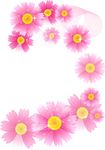 [Res] Pink Flowers PNG
